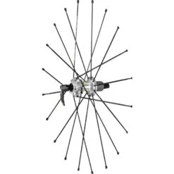 Mavic Zicral Spokes 273.5 Mm For Ksyrium Pro Disc 2015 Rear Wheels - Drive Side (10 Pieces) - V2270501 - Black