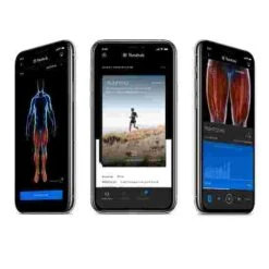 Theragun "Prime" Percussion Massage Device -Camp and Hike Shop 298 4009 7